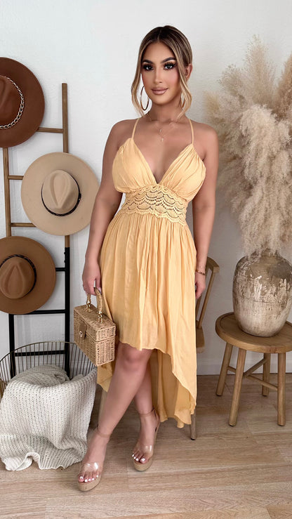 Alexis Hi-Low Dress (Yellow)