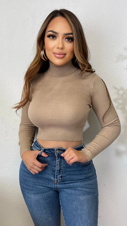 Take A Chance Turtleneck Tops (Taupe)