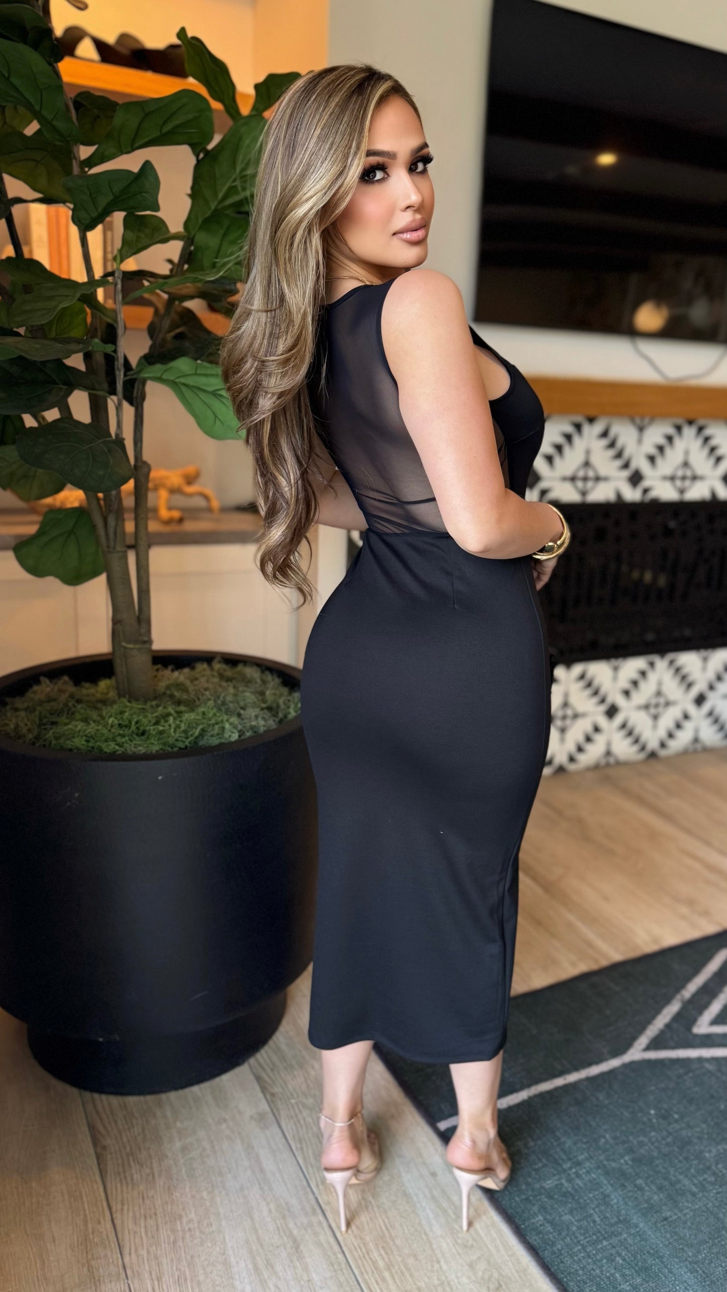 Mesh Plunge Bodycon Midi Dress (Black)